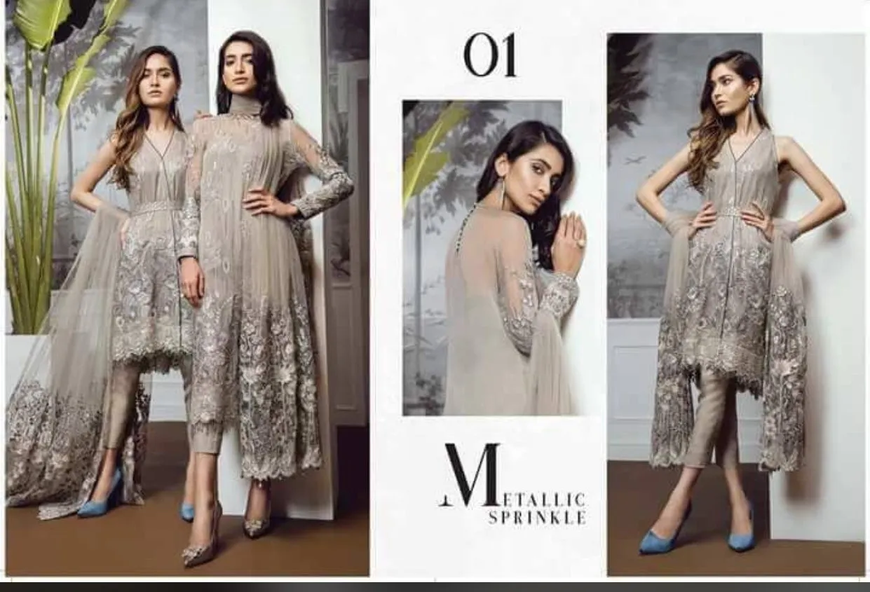 Beutifull dress by sareen in chiffon cloth Model # C 1142