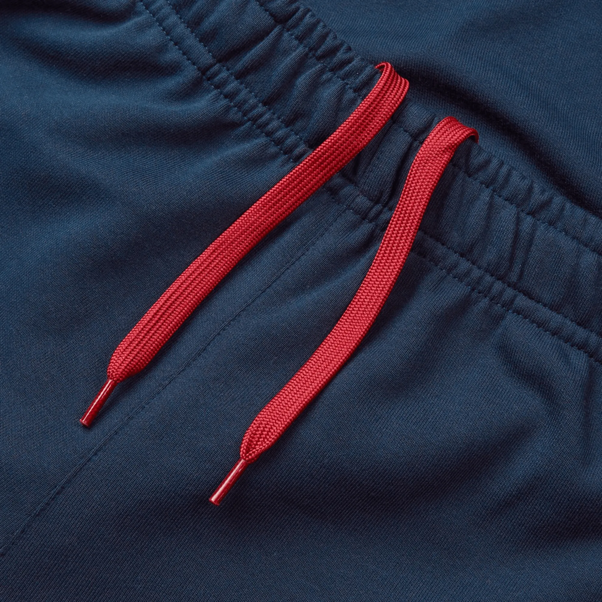 British & Irish Lions 25 Training Pants by Canterbury