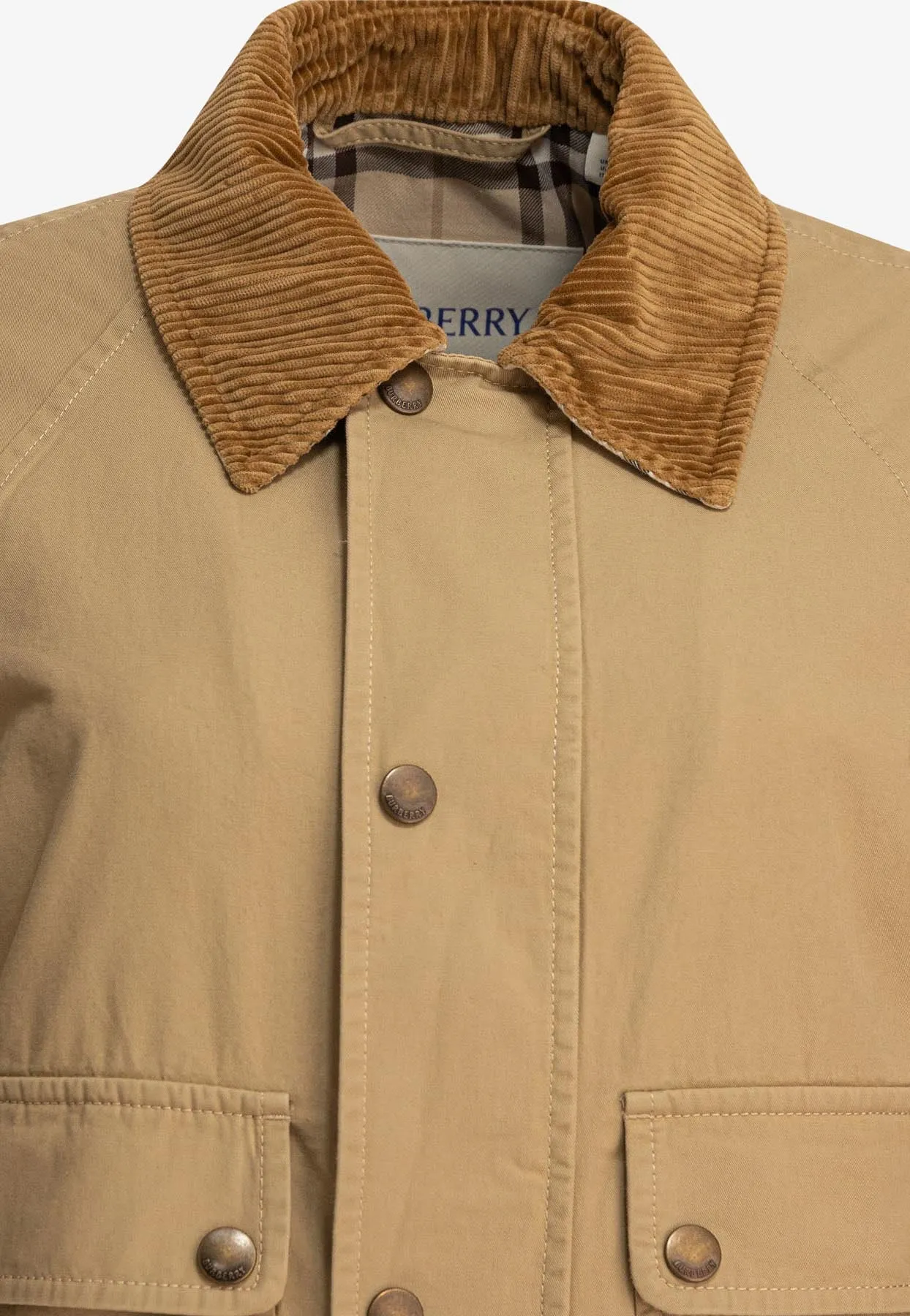 Essential Button-Up Jacket