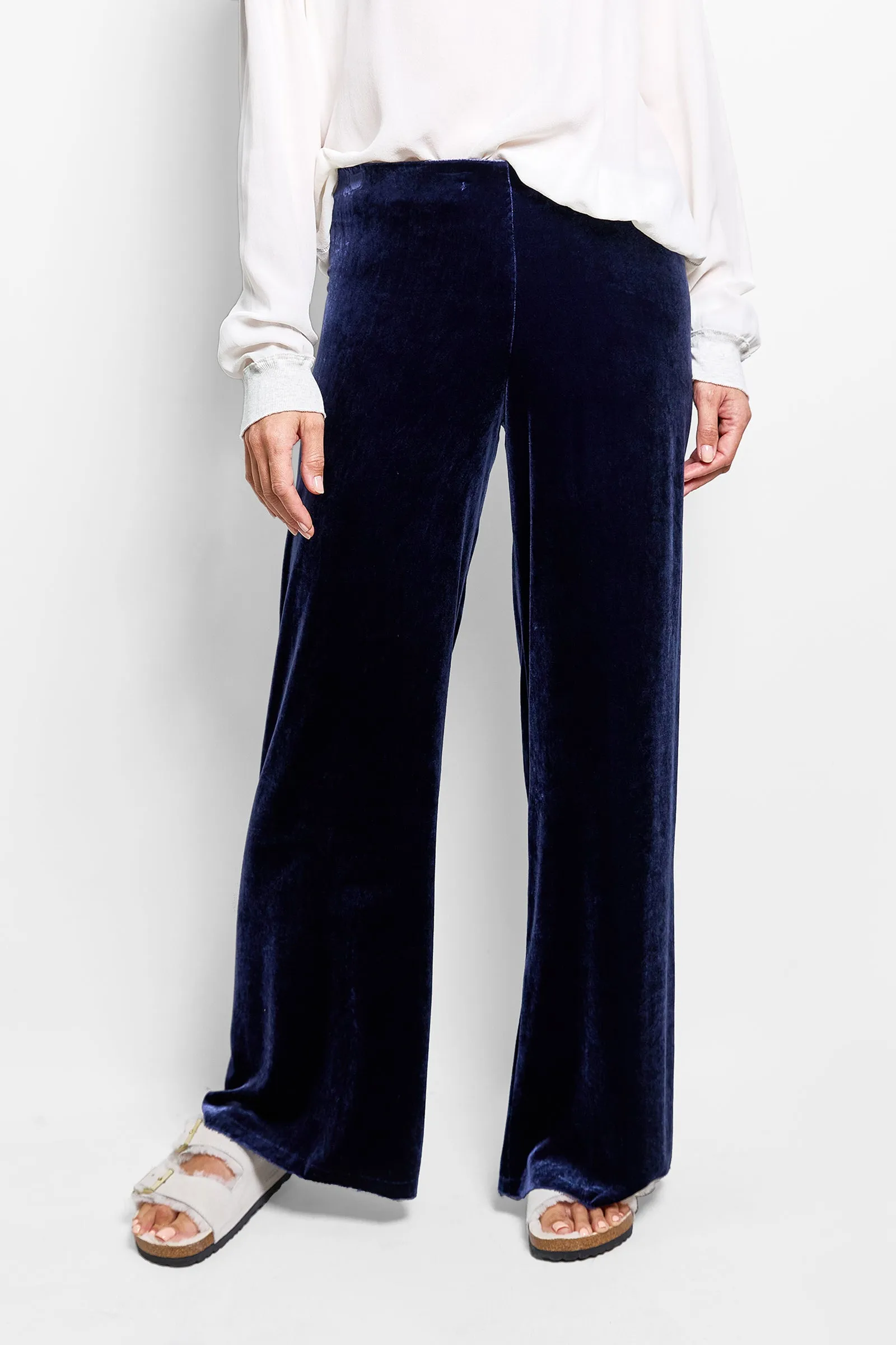 evie stretch velvet pant