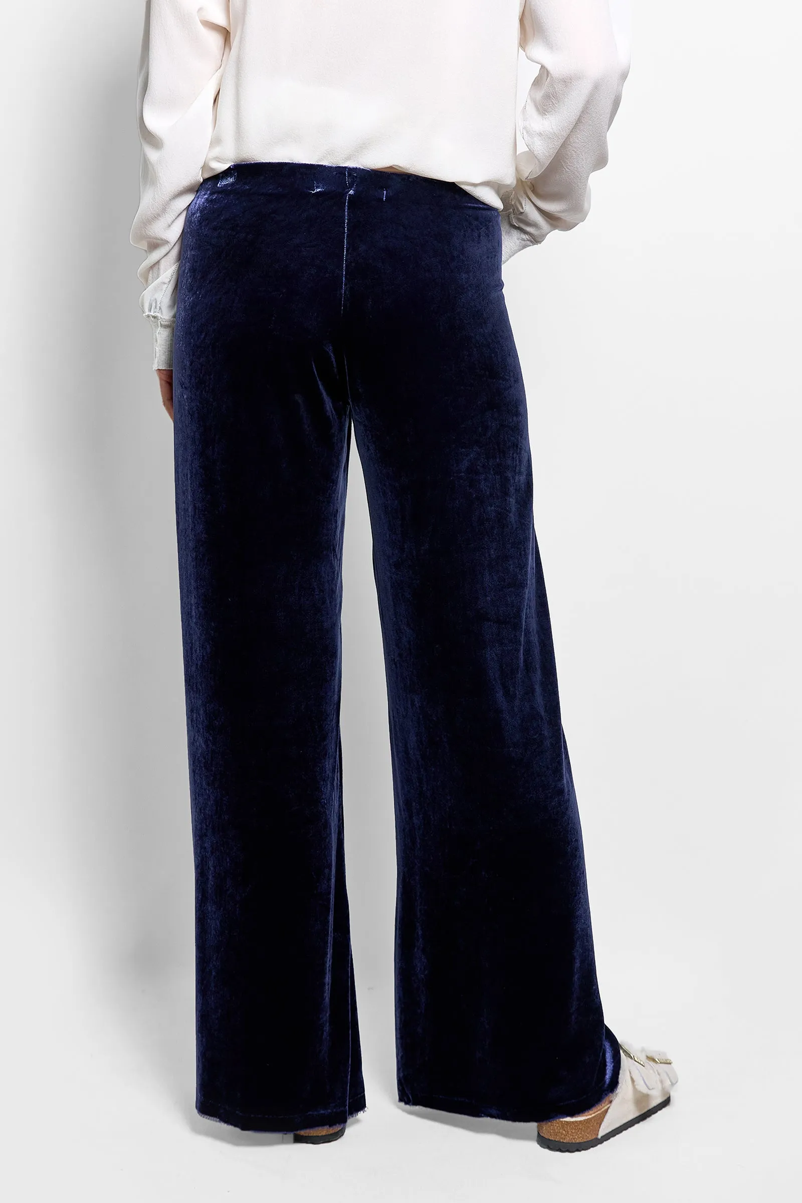 evie stretch velvet pant