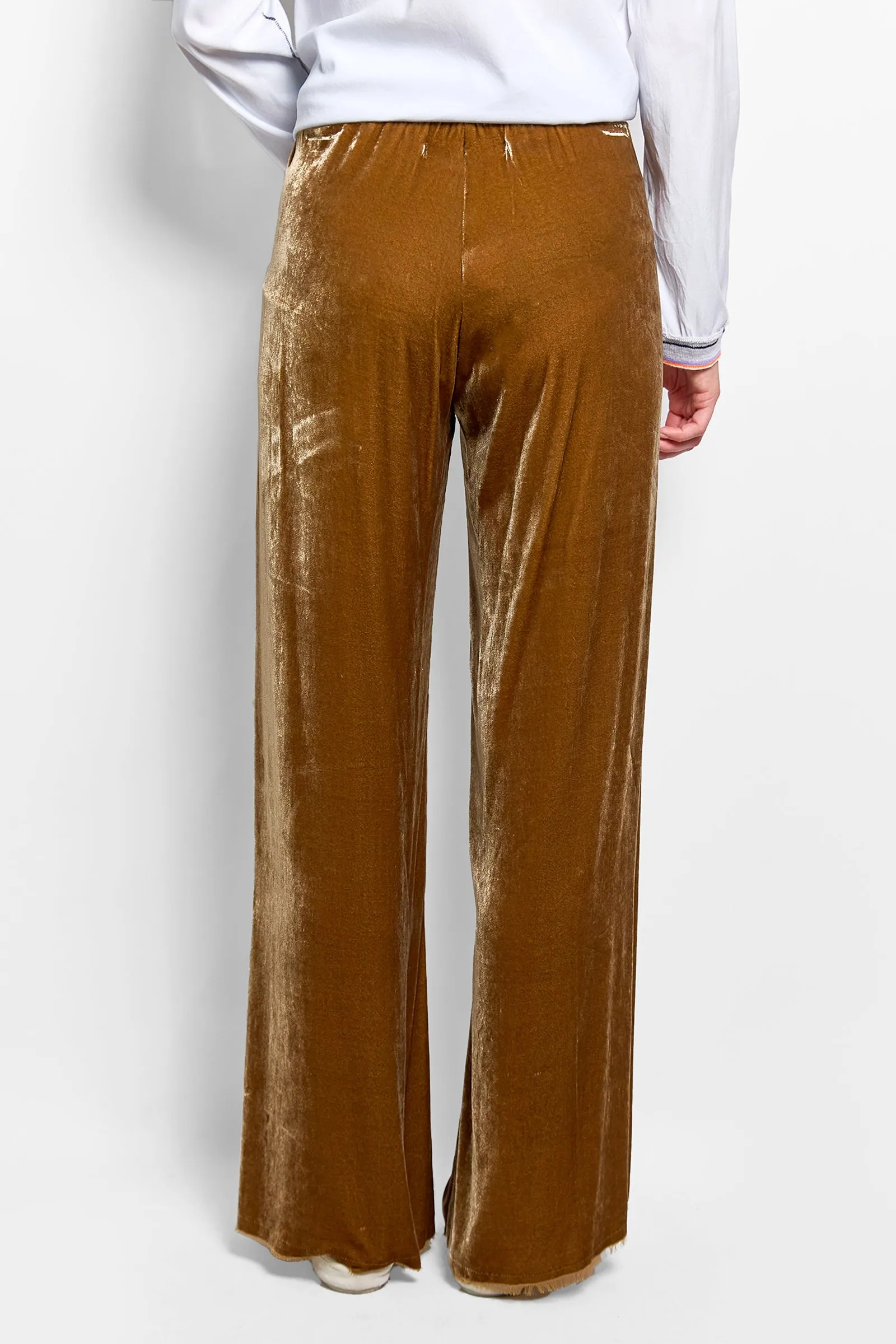 evie stretch velvet pant