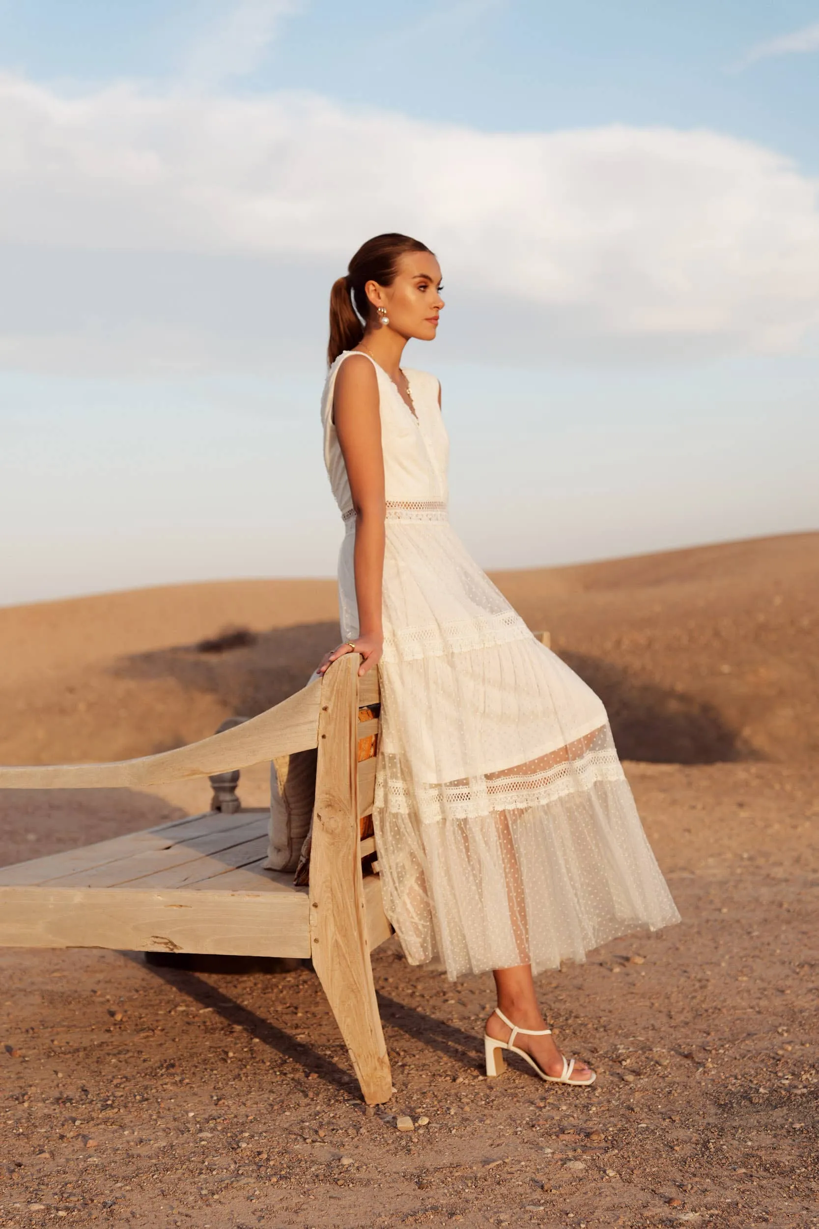 Nikky Long Dress in Plumetis Tulle