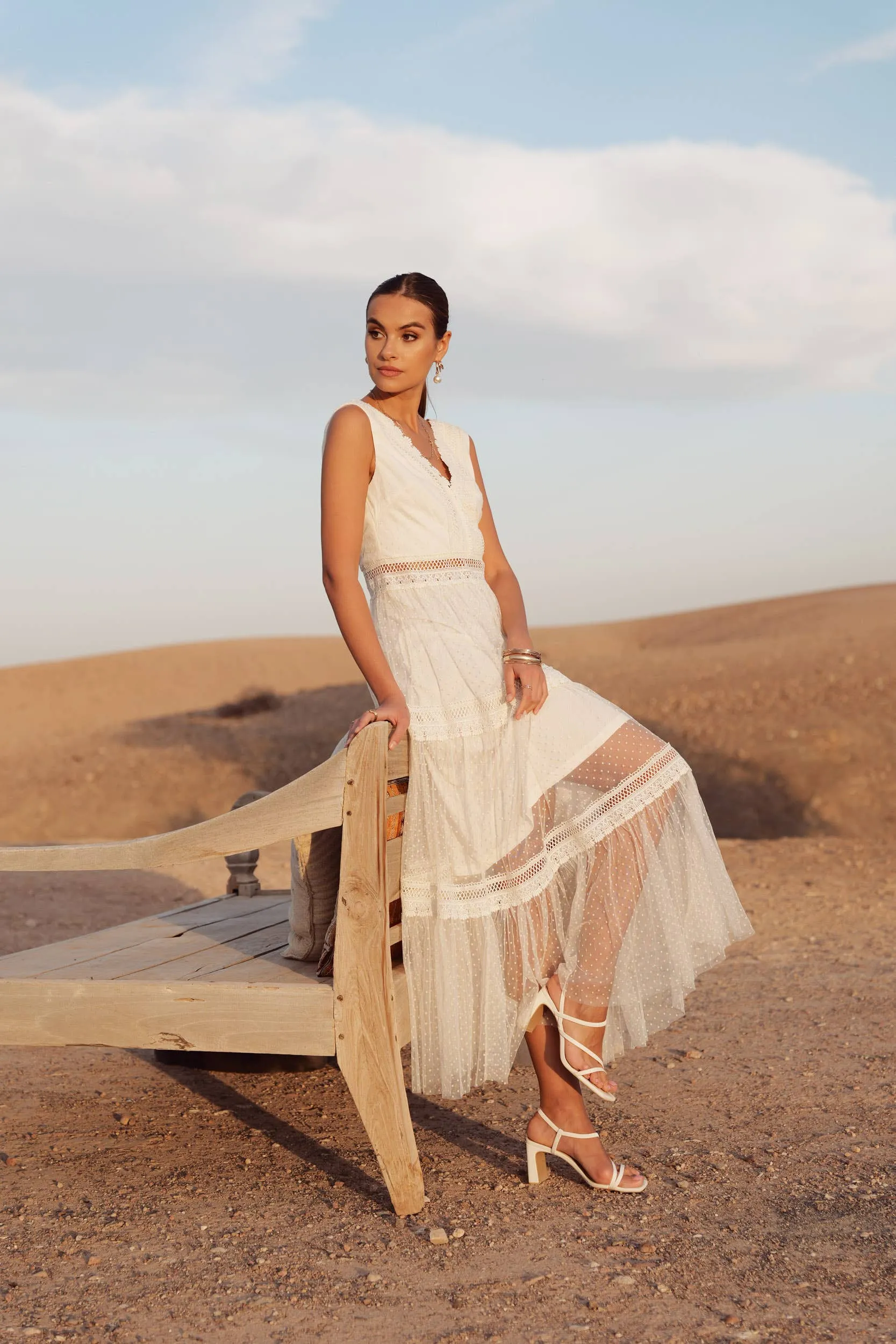 Nikky Long Dress in Plumetis Tulle