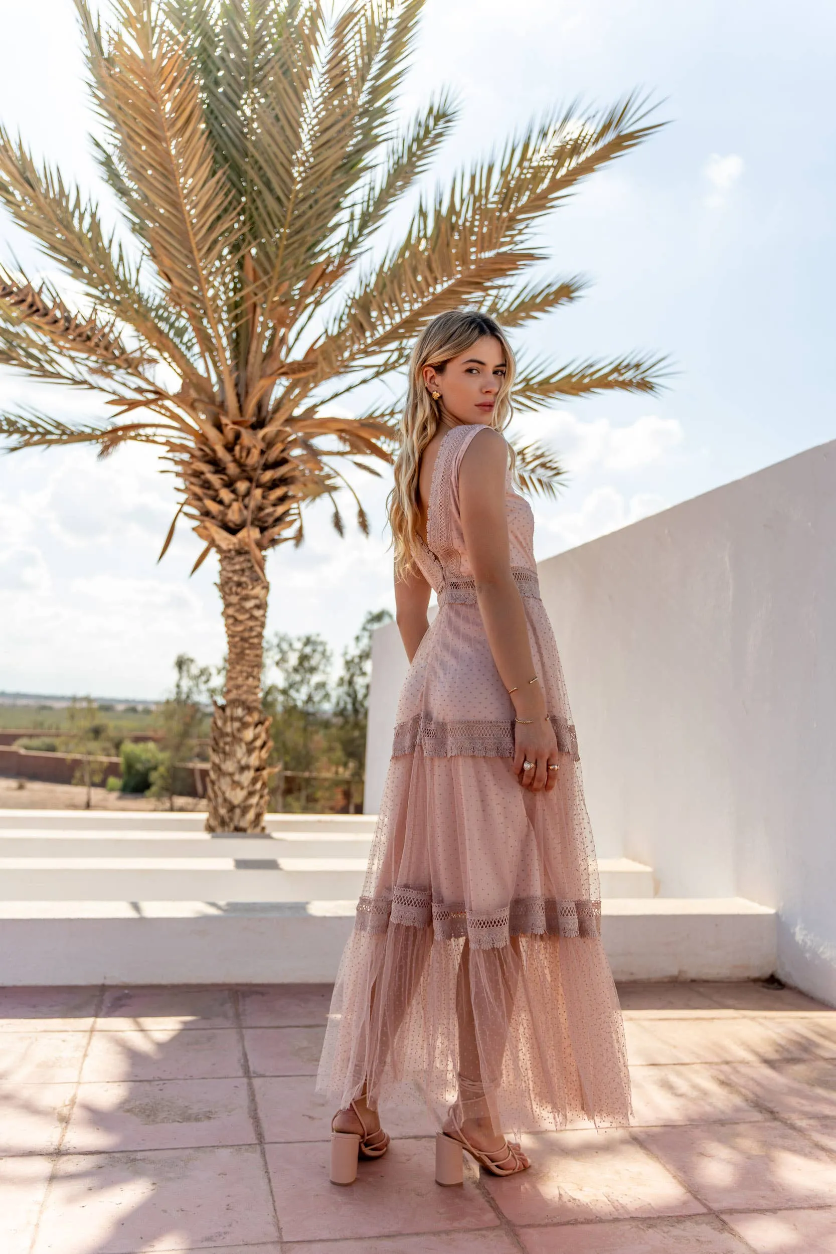 Nikky Long Dress in Plumetis Tulle