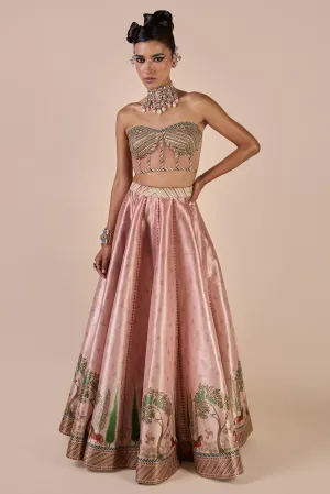 Rose Pink Corset Skirt Set
